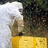 'Extraordinary' Swarm Of Aggressive Bees Attack NJ Beekeepers